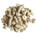 Notoginseng poudre de racine